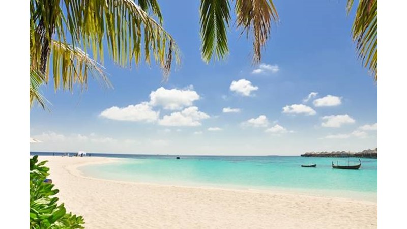 İnsanın Yenilenmesi