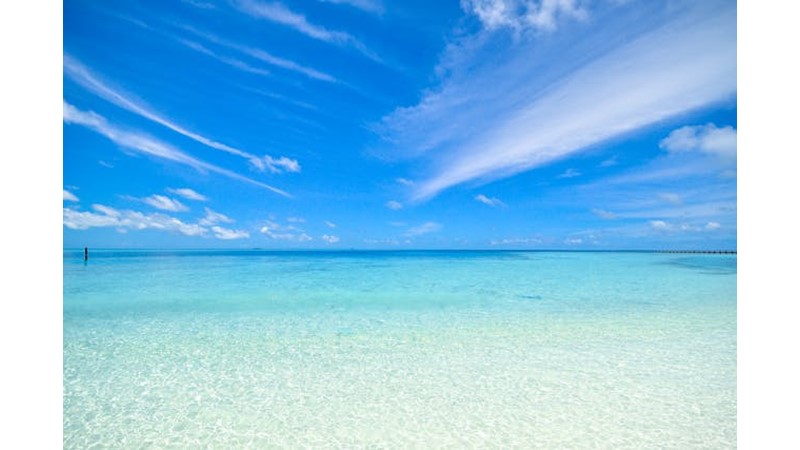 Gerçeği İnkar Etmek