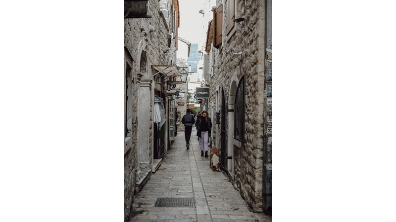 Başkalarının Peşinden Gitmek – Friendz10