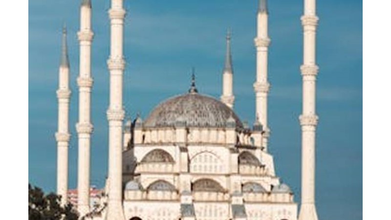 Sultan Büyük Bir Risk Aldı – Friendz10