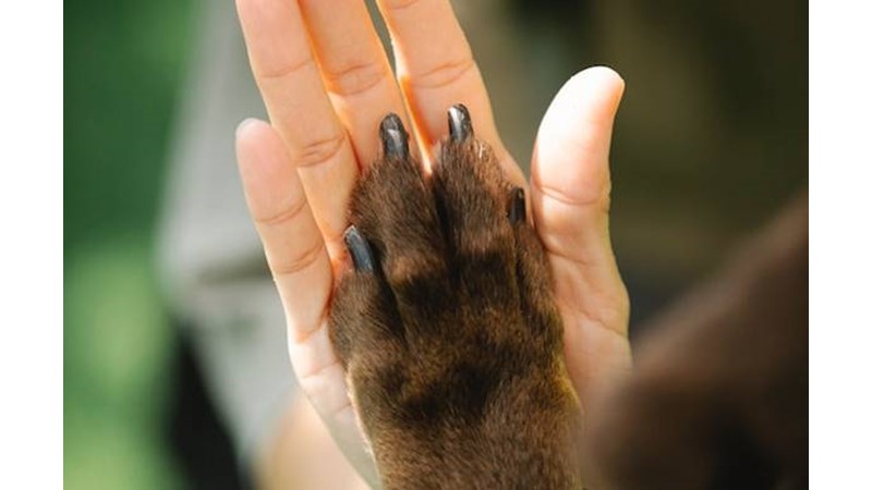 Manevi Olarak İnsanlara Bir Şeyler Sağlamak – Friendz10