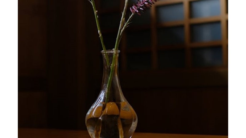 Körelen Duygular - Friendz10