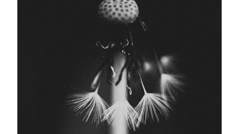 Körelen Duygular - Friendz10