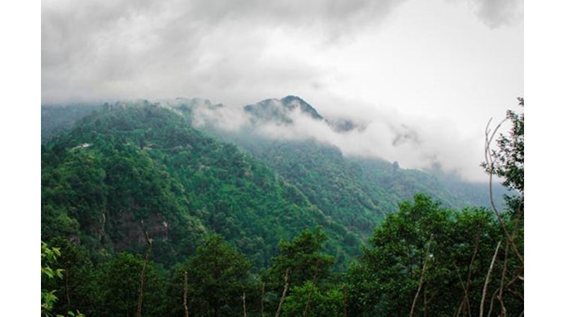 Venedik için Ağır Şartlar