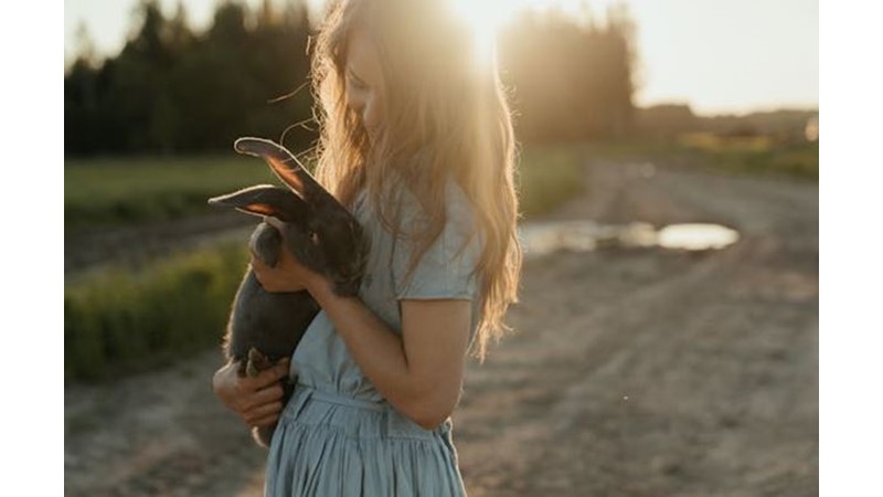 Yalnızlığı Hayvanlarla Gidermek