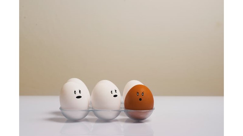 Bizimkine Benzemeyen Hayatlar - Friendz10