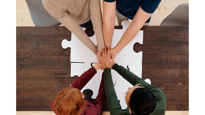 Her Şey İlgi İçin