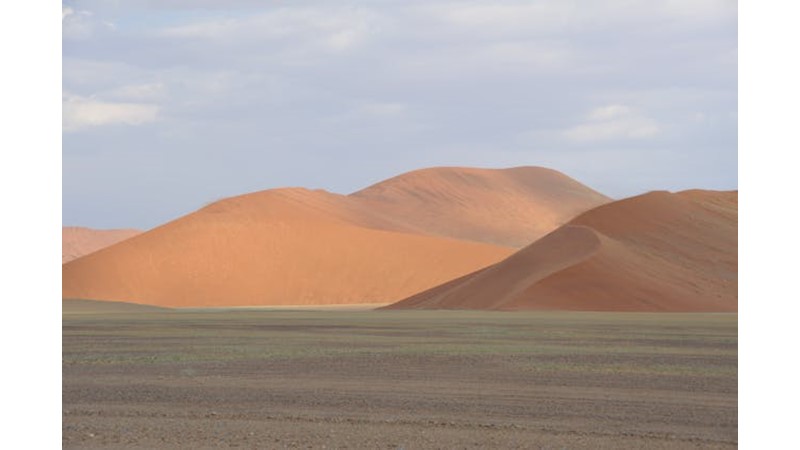 Moğollar Anadolu'da İlerliyor - Friendz10