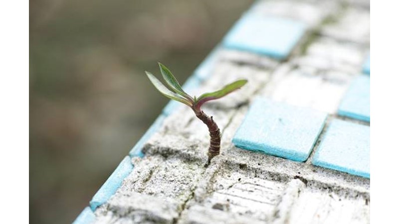 Esas Önemli Olan Amaç – Friendz10