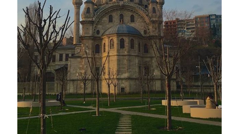 Tuzağa Düştü