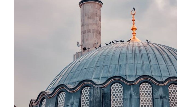 Moğollar Geldi
