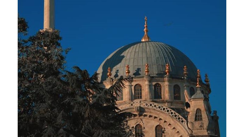 Kral Ladislas Öldürüldü – Friendz10