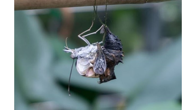 Sürecin İnsanı Değiştirmesi