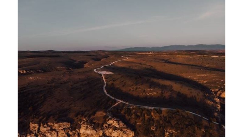 Ordular Alanı Terk Edebilir – Friendz10