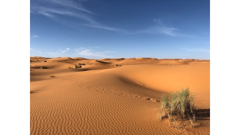 Moğollar Hızlı Davranmalı - Friendz10