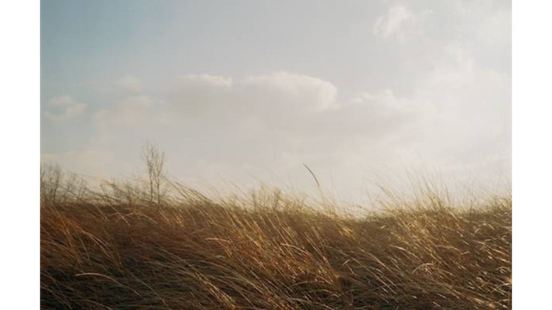 Rüzgarın Sıcak Esmesi – Friendz10