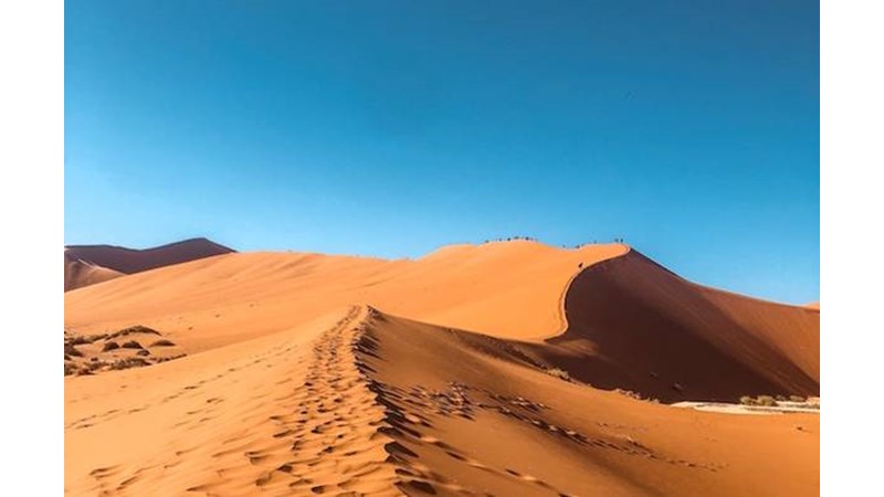 Yüklü Destek Geldi