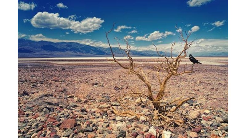 Saldırılar Artıyor