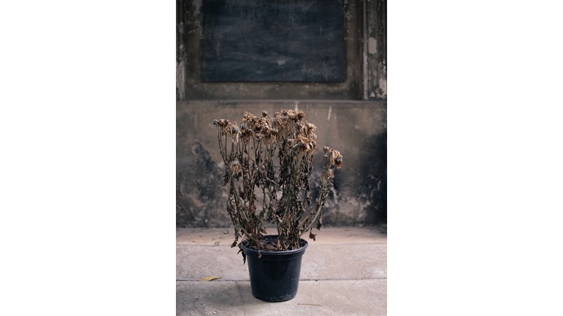 Sorumluluklarımızı Yerine Getirememek – Friendz10