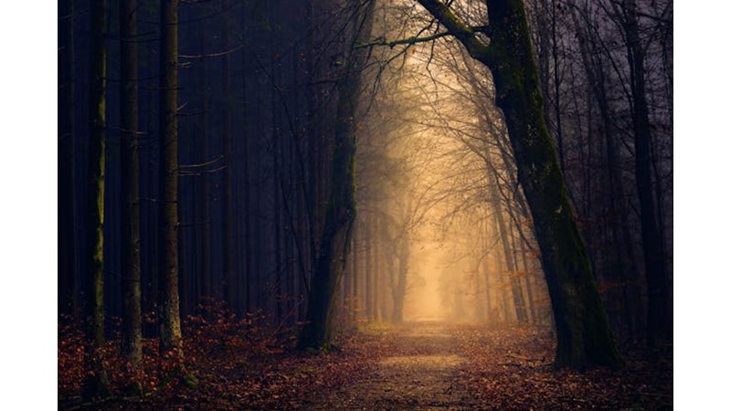 Osmanlı Ordusu Çok Büyük - Friendz10