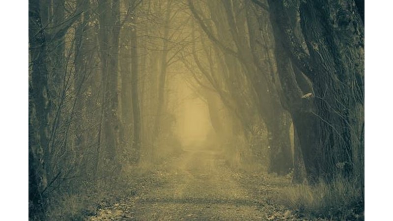 Anlam Arayışı İçine Düşmek