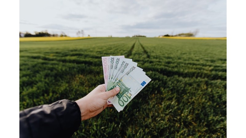 Euro Bölgesi İçin İyi Haber – Friendz10
