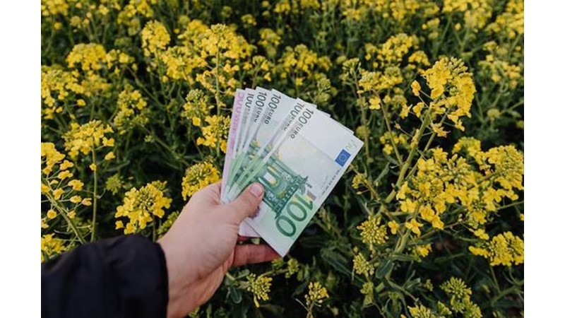 Avrupa Merkez Bankası Faiz Oranını Artırmayabilir – Friendz10