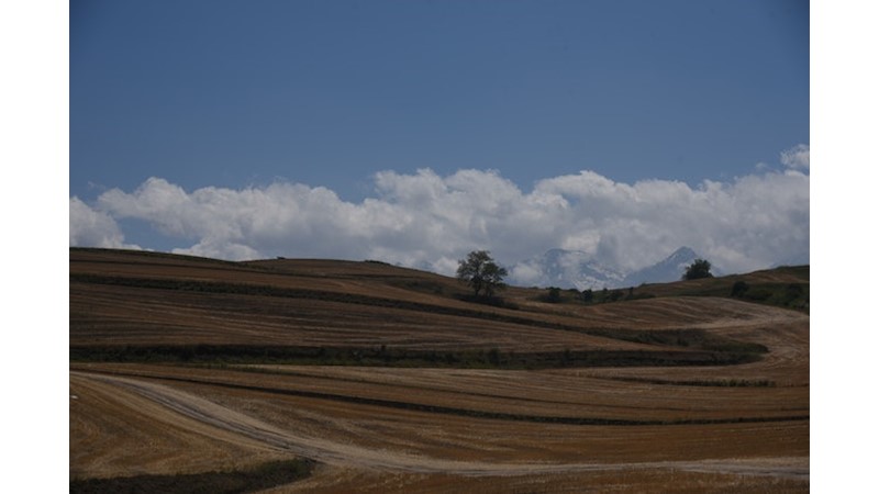 Tepelere Çekilin – Friendz10