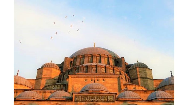 Kışkırtma Çabası