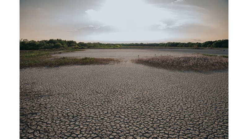 Kaçarken Yakalandı