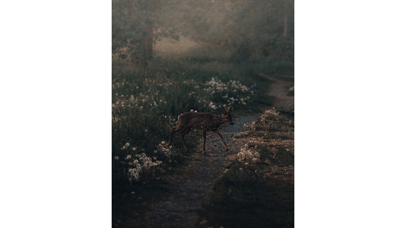 Doğanın Değişmemesi - Friendz10