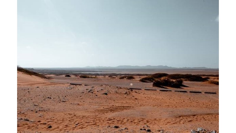 Sonunda Bir Kazanan Var – Friendz10