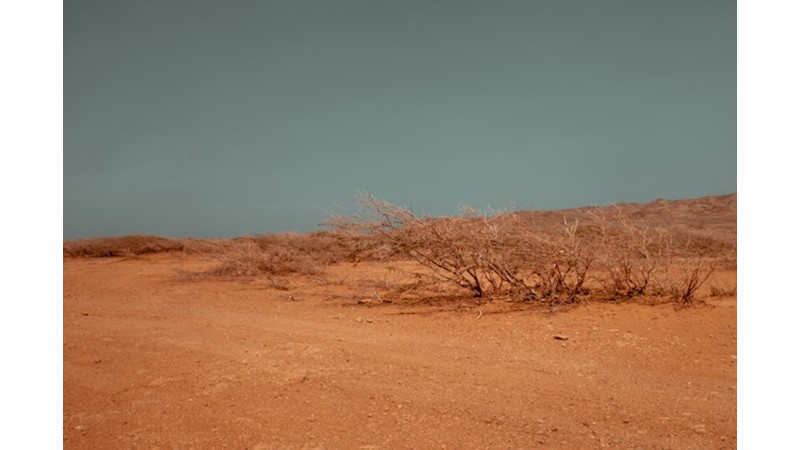 Şahin Şah Hayatını Kaybetti – Friendz10