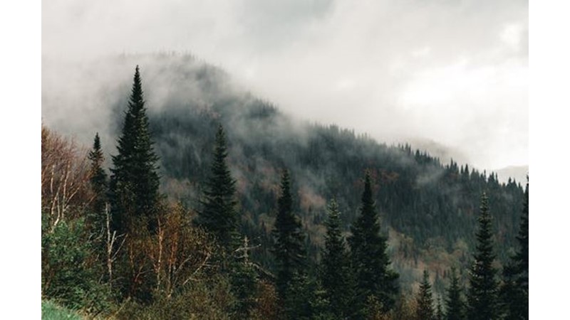 Kuşatma Kısa Sürdü