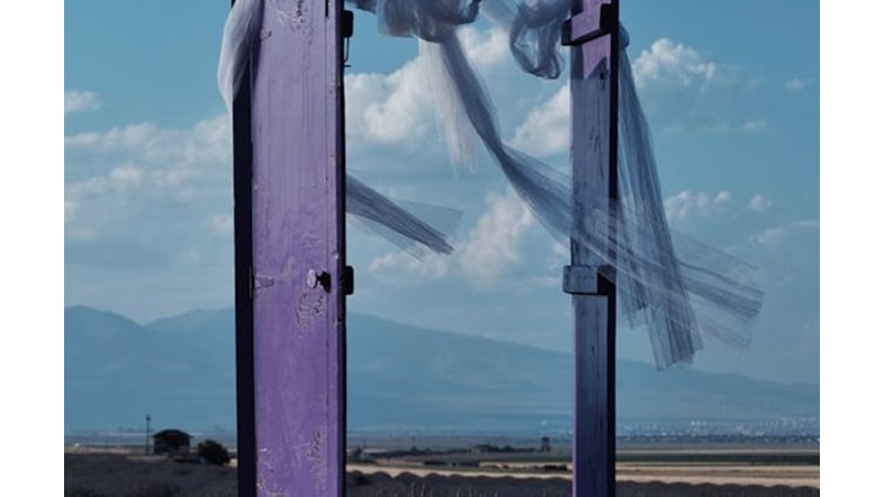 Arzuyu Başlatan Hayaller