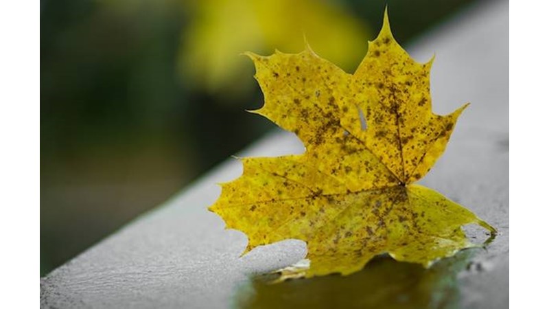 Değişime Hükmetmek – Friendz10