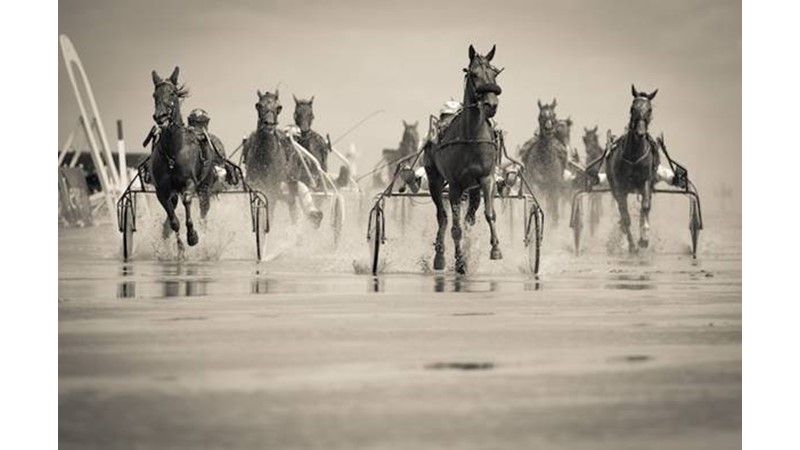 Elimizde Son Kalanlar