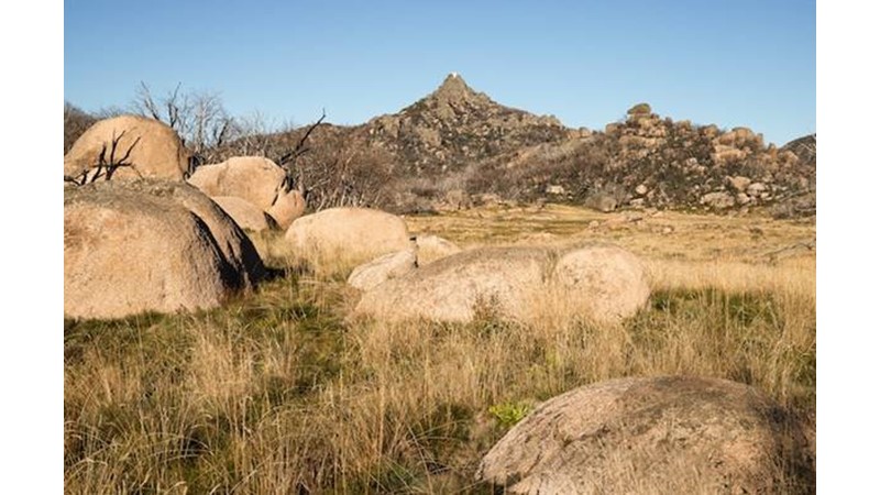 İşler Kontrolden Çıktı