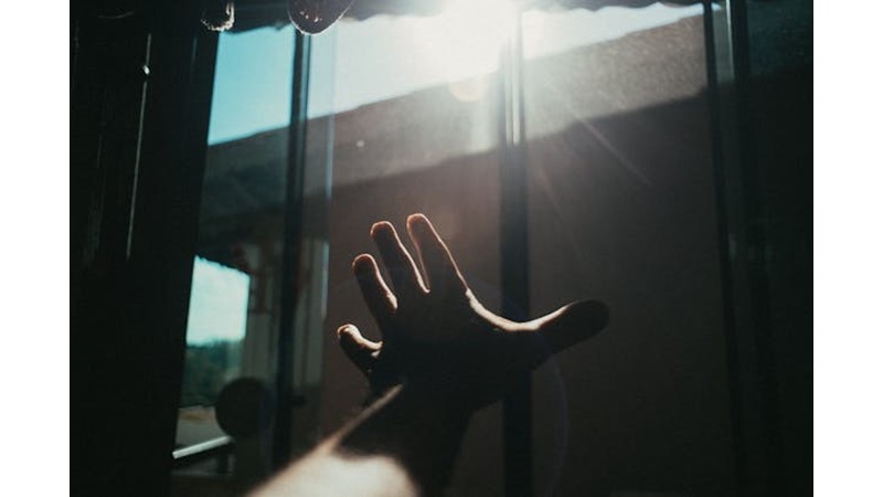 Bazı Durumlar İnsanı Hayata Bağlar