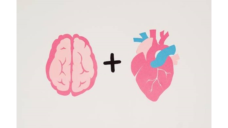 Mantığın Arkasında