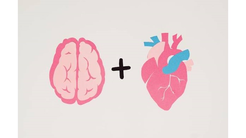 Mantığın Düşüşü