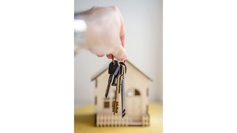 Bir Sistemin Kurulması – Friendz10