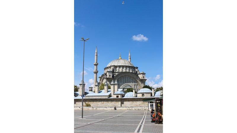 Kardeşler Savaşıyor – Friendz10