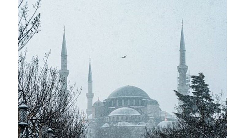 Tuzağa Habersizce İlerliyorlar – Friendz10