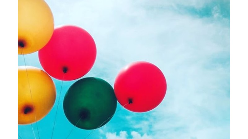 Hayatı Kaçırma Korkusu