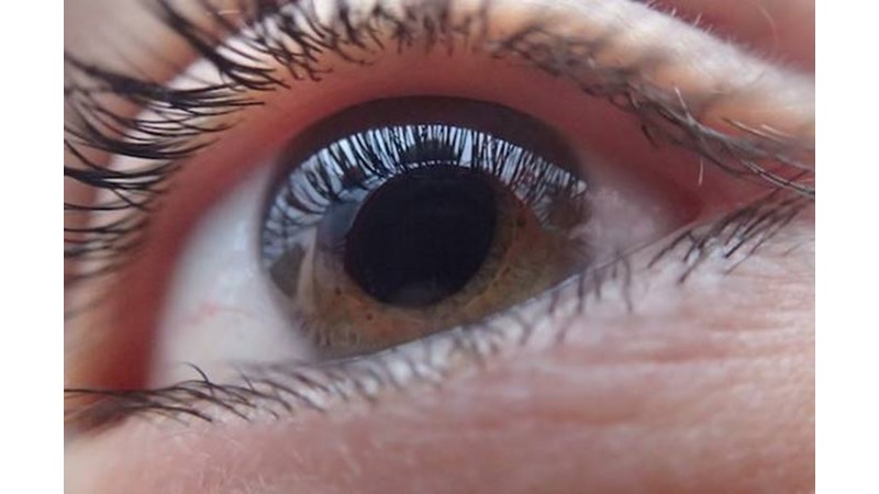 Görselin İnanılmaz Etkisi – Friendz10