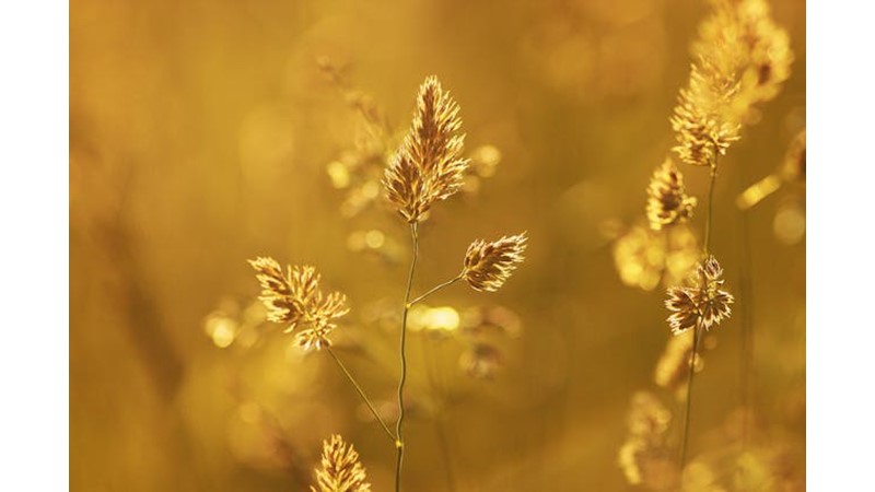 İnsanlar Bizim İçin Onları Hatırladığımız Gibidirler - Friendz10