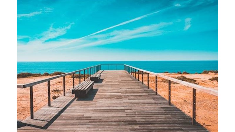 İnsanın Yenilenmesi