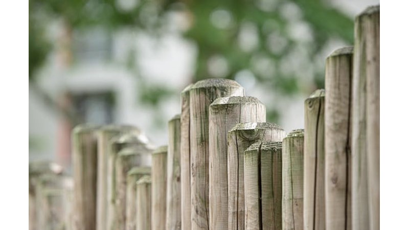 Hayatın Bizlere Koyduğu Sınırlar - Friendz10