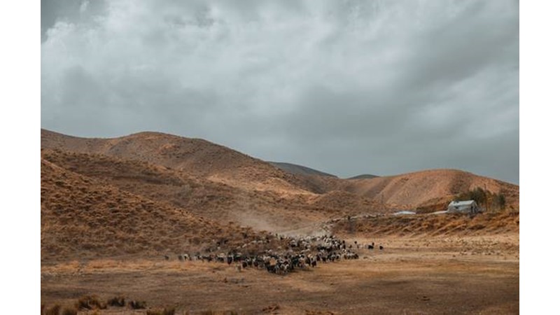 Öncü Kuvvet Dağıldı